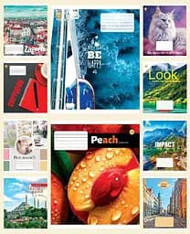 Тетради ученические 60 листов клетка Люкс ТЕ11644 Микс1, 10 шт. в упаковке