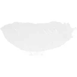 Набір Bona 2 блюди сервіровки White City Перо 40 см kuh0009941