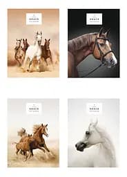 Комплект 4 шт загальних зошитів. Зошит Школярик А5 80 арк. у лінію 5061 4823088207750