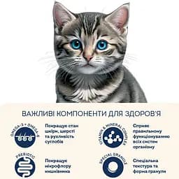 Уцінка. Сухий корм для кошенят Home Food Fresh з куркою 1.6 кг - мініатюра 4