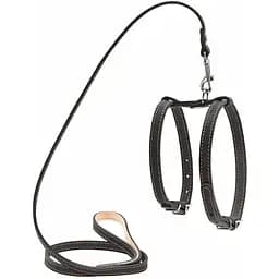 Шлея Collar з повідцем для малих собак (ширина 14 мм, довжина 122 см) чорний