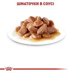 Вологий корм для дорослих котів Royal Canin Hairball Care, шматочки в соусі, 85 г - мініатюра 3