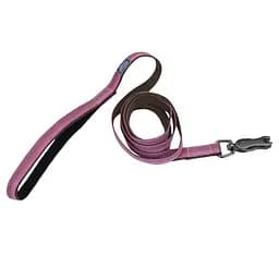 Coastal k9 Explorer Leash к9 эксплорер светоотражающий поводок для собак 1.6см х 1.8м (36406_ROB06)