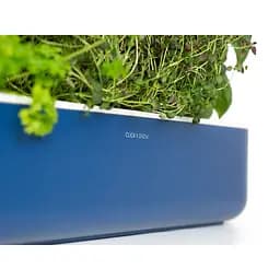 Стартовий набір Click & Grow Smart Garden 9 синiй (SG9S12UNI) - мініатюра 2