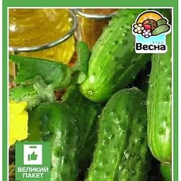 Насіння Весна Огірок Кущовий Великий пакет 2 г (32497)