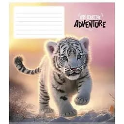 Тетрадь ученическая Adventure Школярик 012-3291C-2 в косую линию 12 листов