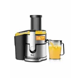 Соковыжималка из нержавеющей стали RAF 2700 для кухни соковыжималка для фруктов