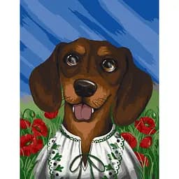 Картина по номерам без подрамника "Ушастый патриот" 11523-ACNF 40х50 см