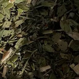 Збір трав'яний для нормалізації рівня цукру в крові, цукрознижувальний, 100 г