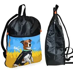Рюкзак-мешок для обуви,спортивной формы Пес Патрон детская сумка для сменки с расширителем (01356)