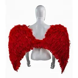 Крылья ангела