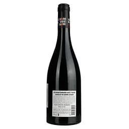 Вино Le Gros Rouge Qui Tache Castelet De Canon Leveque IGP Pays D'Oc червоне сухе 0.75 л - мініатюра 4