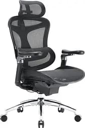 Ігрове крісло Sihoo DORO C300 Pro Mesh Black (DORO-C300-PRO-M101)