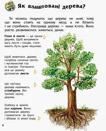 Дитяча енциклопедія про ліс 614016 для дошкільнят - мініатюра 5