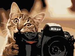 Картина за номерами. Art Craft "Пухнастий фотограф" 40 * 50 см 11608-AC