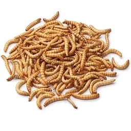 Корм для рептилій Wow Pets Exotic Reptile Diet Борошняний хробак сушений 60 г - мініатюра 2