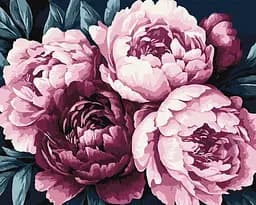 Набор для росписи по номерам Нежные лепестки, Ideyka, 40x50 см, КНО3306