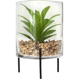 Штучна рослина Devilon Сукулент в скляній вазі 12 см зелена (190706)