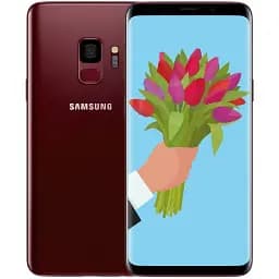 Смартфон Samsung Galaxy S9 4/64Gb Burgundy Red (SM-G9600) [2 SIM, NFC, SnapDragon]