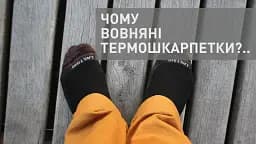 Шкарпетки Lasting WLS - мініатюра 2