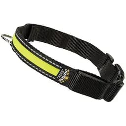 Нашийник для собаки Ferplast Night Collar Small