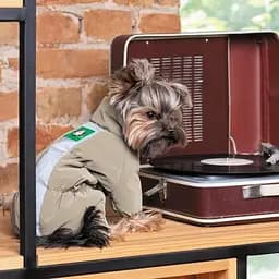 Комбінезон Pet Fashion Ego для собак, розмір XS2, бежевий - мініатюра 6