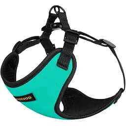 Шлея для собак мелких пород Bronzedog Sport S 16х14х2 см бирюзовая