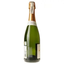 Вино ігристе Flama d'Or Cava Brut біле 11.5% 0.75 л - мініатюра 3