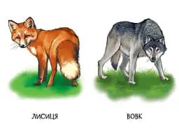 22 картинки. Улюблені тварини - - мініатюра 4