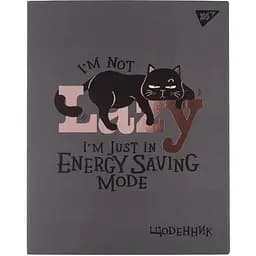 Щоденник шкільний інтегральний Yes Lazy cat 911564