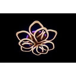 Люстра світлодіодна Linisoln 5576/6+3 CF LED 3 COLOR dimmer - мініатюра 4