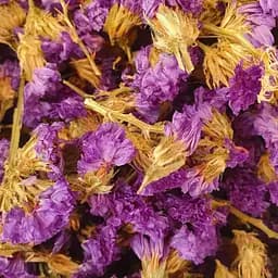 100 г незабудка Китайская цвет сушеный - свежий урожай