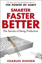 Smarter Faster Better. The Secrets of Being Productive