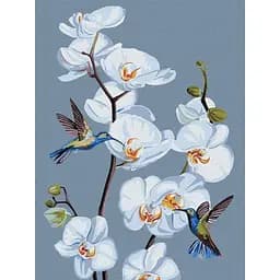 Картина за номерами "Квітучі орхідеї" ©annasteshka KHO3241 Ideyka 30х40 см