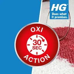 Очисник-спрей для килимів та оббивки HG 500 мл (152050161) - мініатюра 2