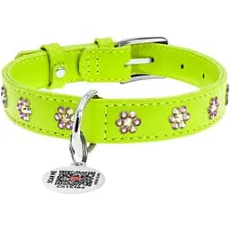Ошейник для собак Waudog Glamour со стразами Цветочек, кожаный, с QR паспортом, L, 30-39х2 см, салатовый