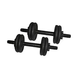 Гантели наборные литые 2 шт по 4,5 кг NE-300-GP005-2