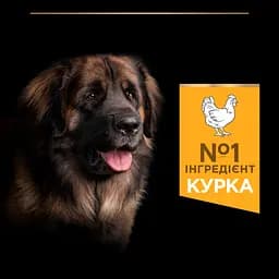 Сухий корм для дорослих собак великих порід Purina Pro Plan Large Robust Adult з куркою 14 кг (12375799) - мініатюра 7