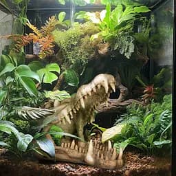 Декорація череп крокодила Terrario Crocodile Skull XL 23x11x16см (251115) - мініатюра 4
