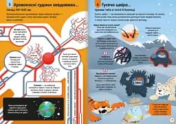 100 фактів про людське тіло - мініатюра 7