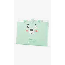 Папка А4 для документів CY-5068 Салатовий