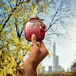 Парфумована вода Coach Wild Rose 50 мл - мініатюра 4