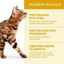 Сухий корм Optimeal для  дорослих котів з куркою 1.5 кг - мініатюра 3