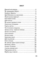 Стежинами Павлиша. Дидактичний матеріал з української мови. 3-4 класи - мініатюра 2