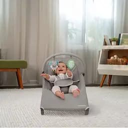 Шезлонг Ingenuity Nestle Сірий (17624.091) - мініатюра 3