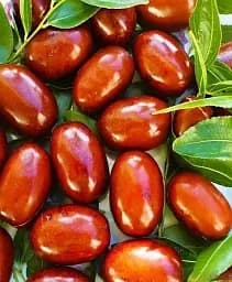 Саджанець Agro-Market Зизифус Китайський 2а (середній термін дозрівання, високоврожайний сорт) 1 шт. в упаковці (21390)