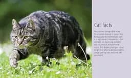 Hamlyn All Colour Petcare. Cat Care Essentials - мініатюра 2