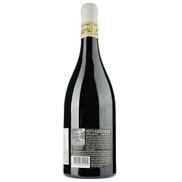 Вино Domaine Valiniere 100% Carignan Rouge 2015 Vin de France, червоне, сухое, 0,75 л - мініатюра 2