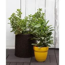Горщик для квітів Keter S Cylinder Planter коричневий 7 л  (17197934521_S) - мініатюра 6