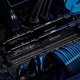 Модуль пам'яті DDR5 2x32GB/6000 Kingston Fury Beast Black (KF560C36BBEK2-64) - мініатюра 6